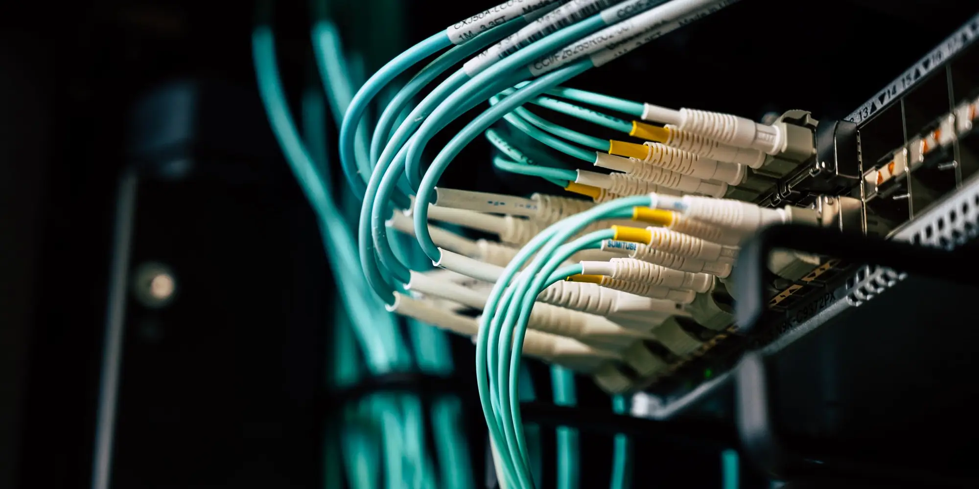Cavi in fibra ottica collegati a un apparato di rete